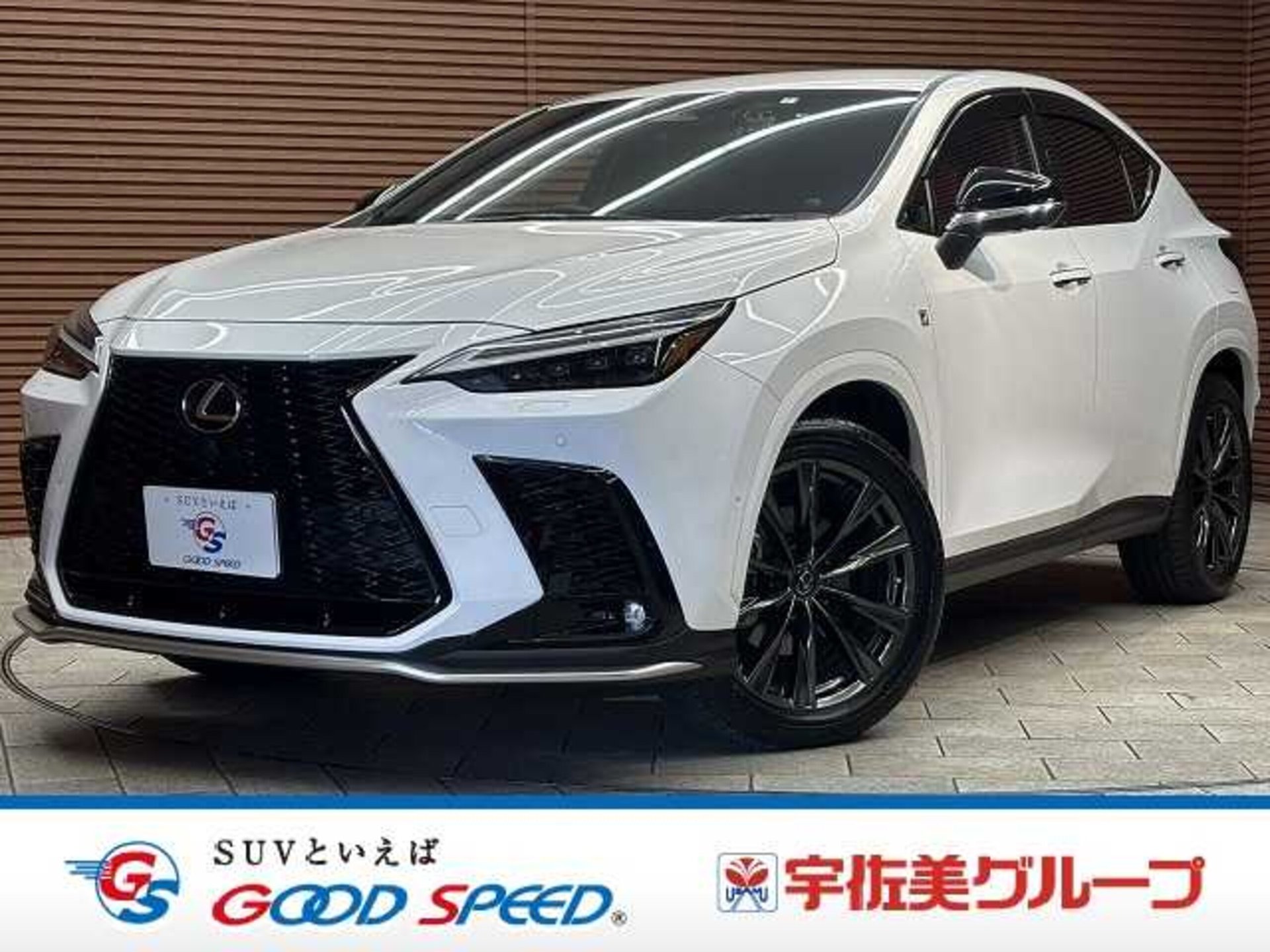 LEXUS NX - View 1