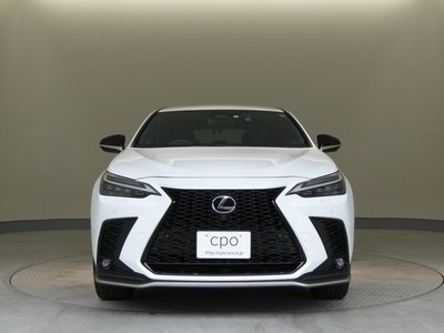 صورة مصغرة 29 لـ 2023 Lexus NX