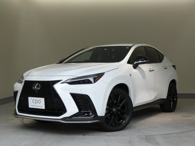 صورة مصغرة 30 لـ 2023 Lexus NX