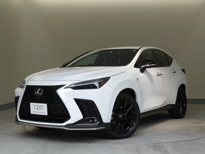 صورة مصغرة 13 لـ 2023 Lexus NX