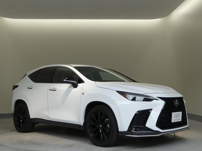 صورة مصغرة 19 لـ 2023 Lexus NX