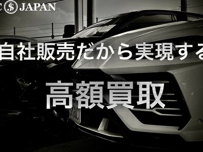 TOYOTA LAND CRUISER 250 - 2