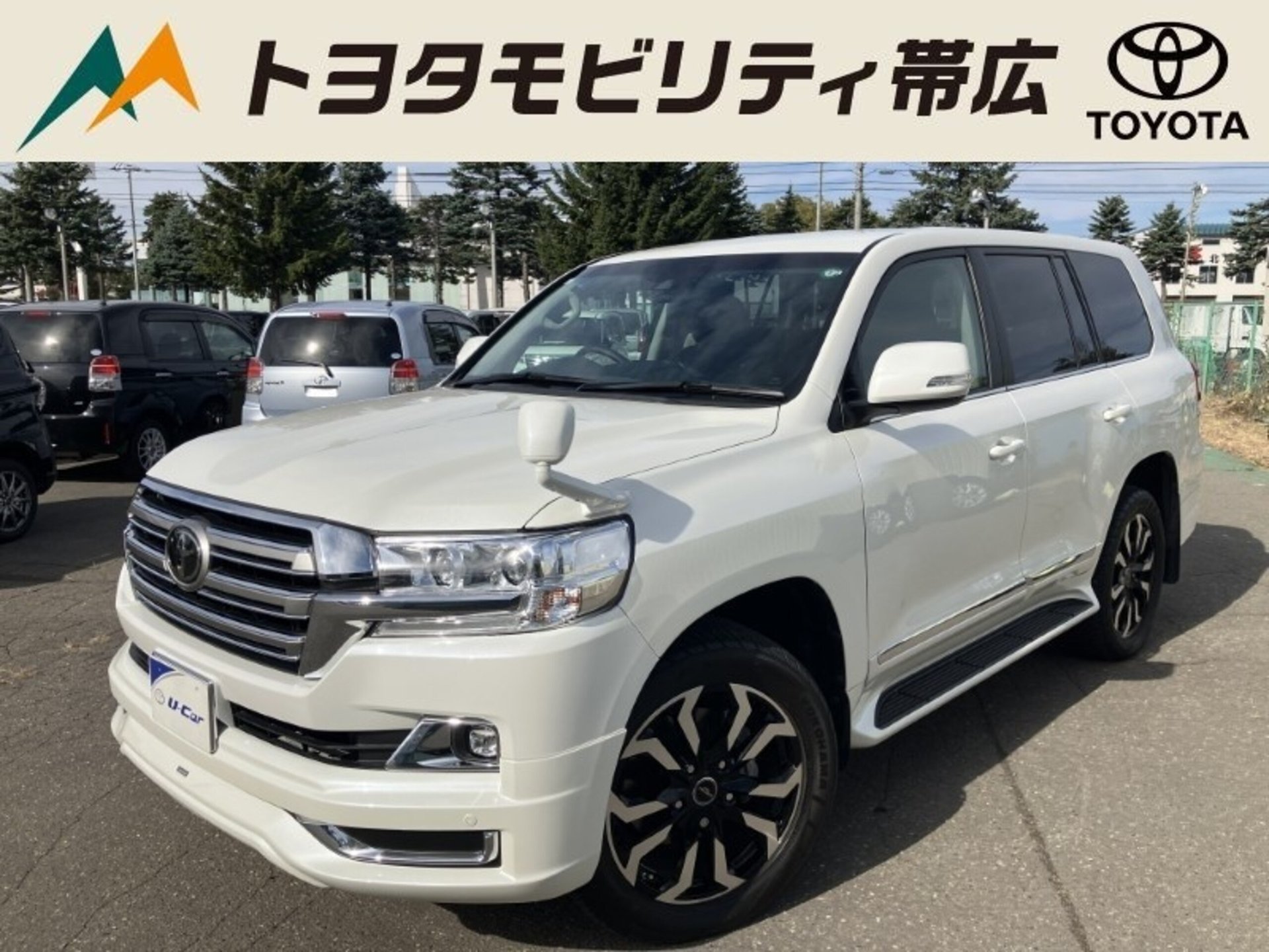 TOYOTA LAND CRUISER 200 - View 1