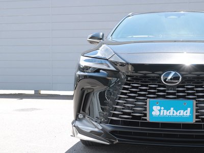 2024 Lexus RX — миниатюра 25