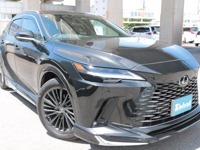 2024 Lexus RX — миниатюра 23