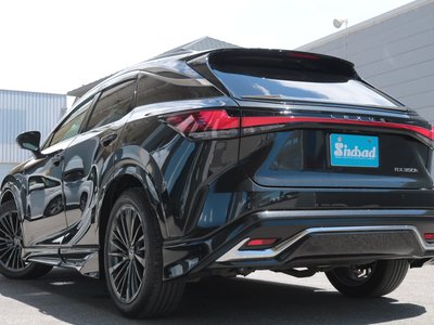 2024 Lexus RX — миниатюра 29