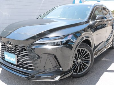 2024 Lexus RX — миниатюра 27