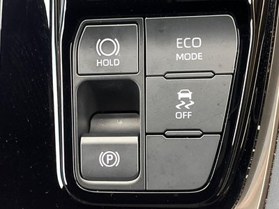 صورة مصغرة 68 لـ 2024 TOYOTA ALPHARD