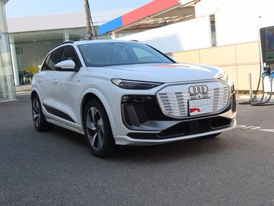 2025 AUDI Q6 E-TRON — фото 57