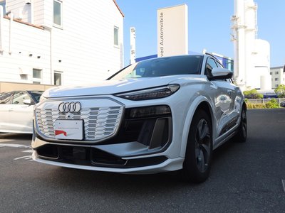 2025 AUDI Q6 E-TRON — фото 80
