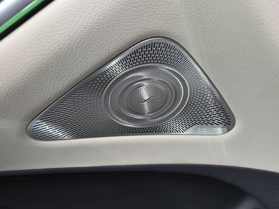 2021 Mercedes-BENZ S-CLASS 缩略图 29