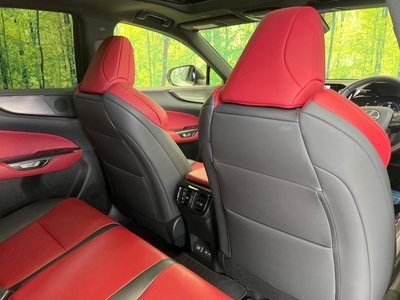2023 Lexus NX 缩略图 44