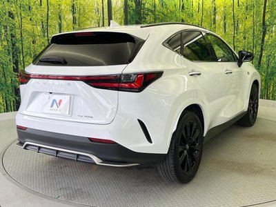 2023 Lexus NX 缩略图 18