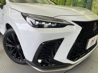 2023 Lexus NX 缩略图 13