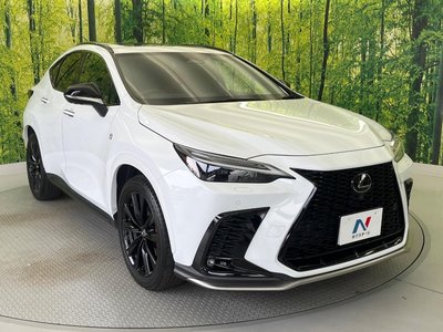 2023 Lexus NX 缩略图 17