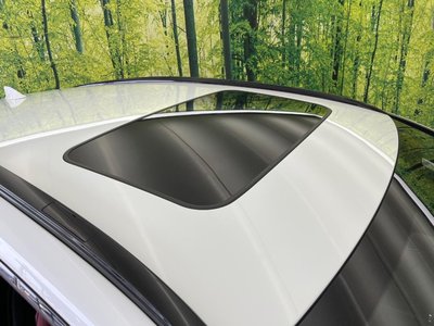 2023 Lexus NX 缩略图 77