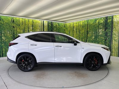 2023 Lexus NX 缩略图 30