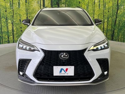2023 Lexus NX 缩略图 15