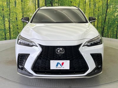 2023 Lexus NX 缩略图 25