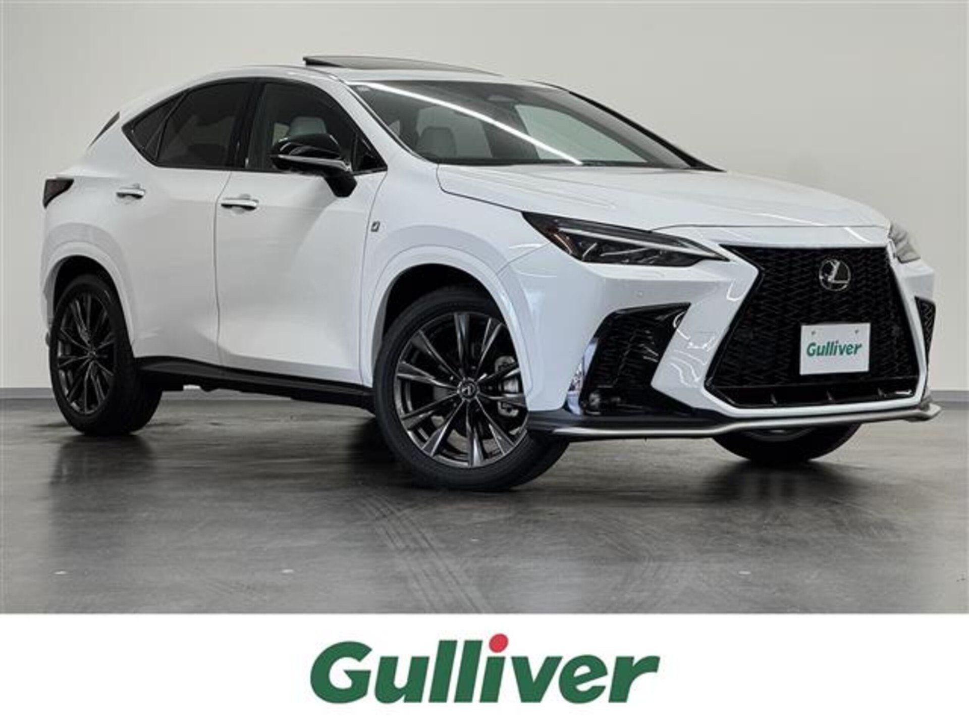 LEXUS NX - View 1