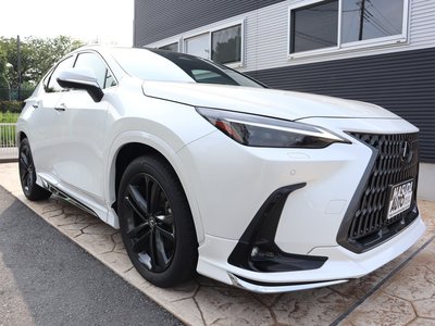 LEXUS NX - 4