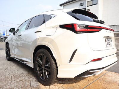 LEXUS NX - 6