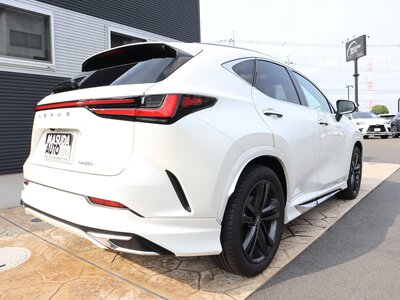 LEXUS NX - 8