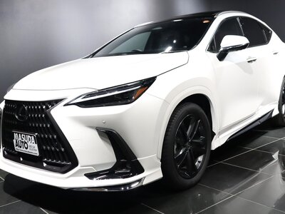 LEXUS NX - 2