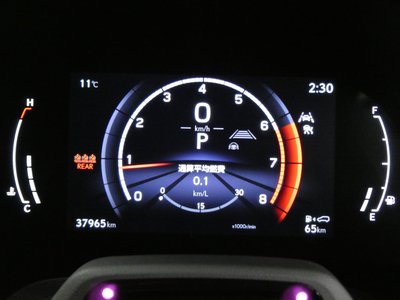 LEXUS RX - 10