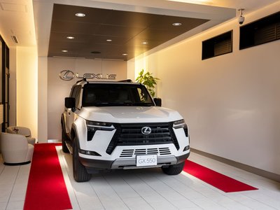 2023 Lexus RX — миниатюра 48