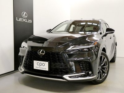 2023 Lexus RX — миниатюра 37