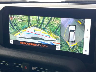 TOYOTA LAND CRUISER 250 - 4