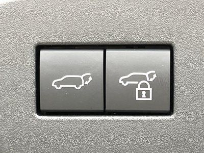 TOYOTA LAND CRUISER 250 - 5