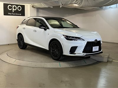 2023 Lexus RX 缩略图 13