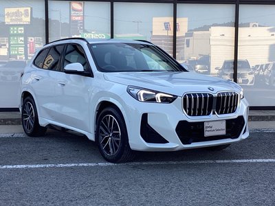 BMW X1 - 9