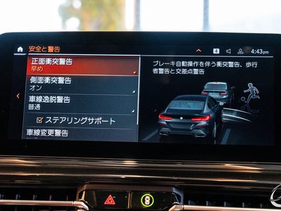 2019 BMW 8 SERIES GRAN COUPE — миниатюра 47