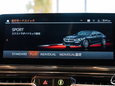 2019 BMW 8 SERIES GRAN COUPE — миниатюра 43