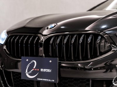 2019 BMW 8 SERIES GRAN COUPE — миниатюра 12