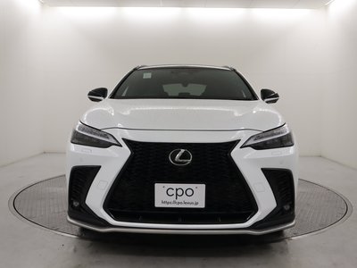 LEXUS NX - 8
