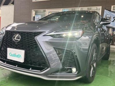 LEXUS NX - 6