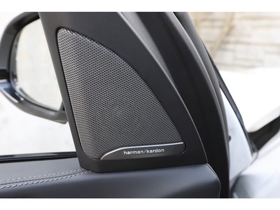 صورة مصغرة 60 لـ 2020 BMW X7