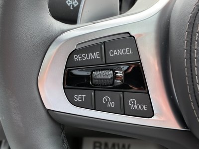 2025 BMW X7 — миниатюра 19