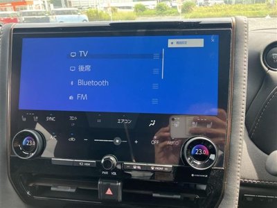 2025 Toyota ALPHARD 缩略图 29