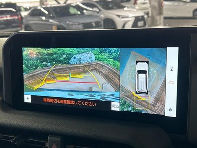 TOYOTA LAND CRUISER 250 - 4