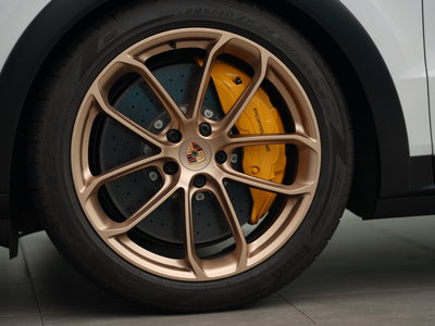 2025 Porsche CAYENNE thumbnail 16