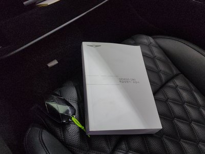 2024 Genesis G90 (RS4) — миниатюра 21