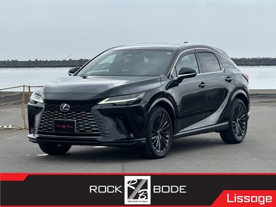 LEXUS RX - 1