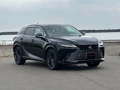 LEXUS RX - 7