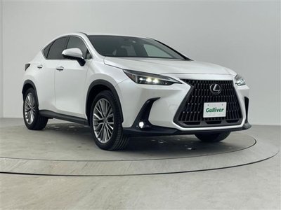 LEXUS NX - 1