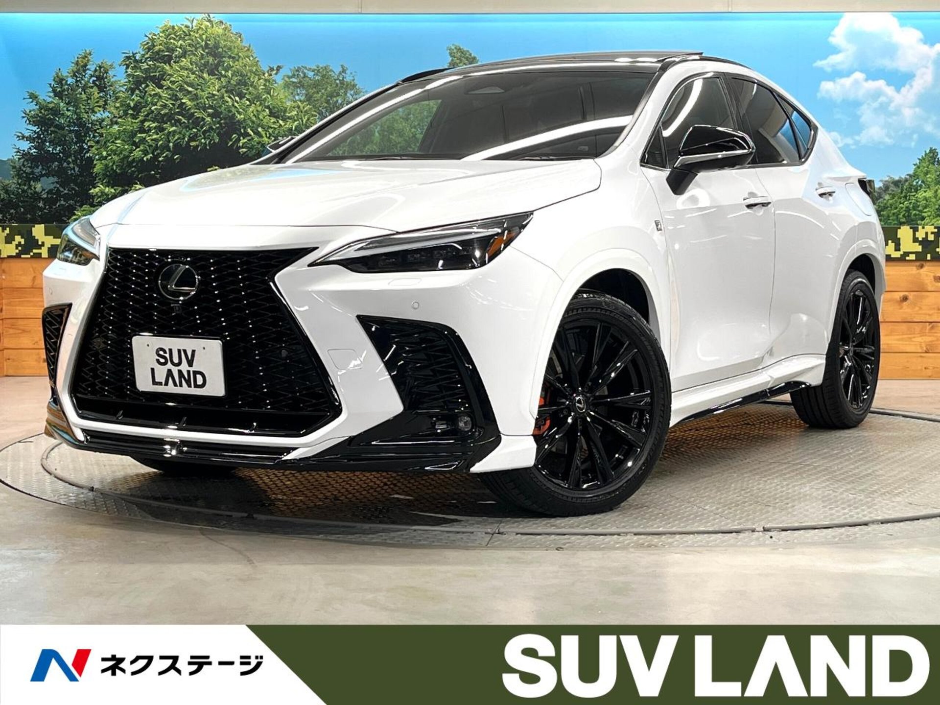 LEXUS NX - View 1